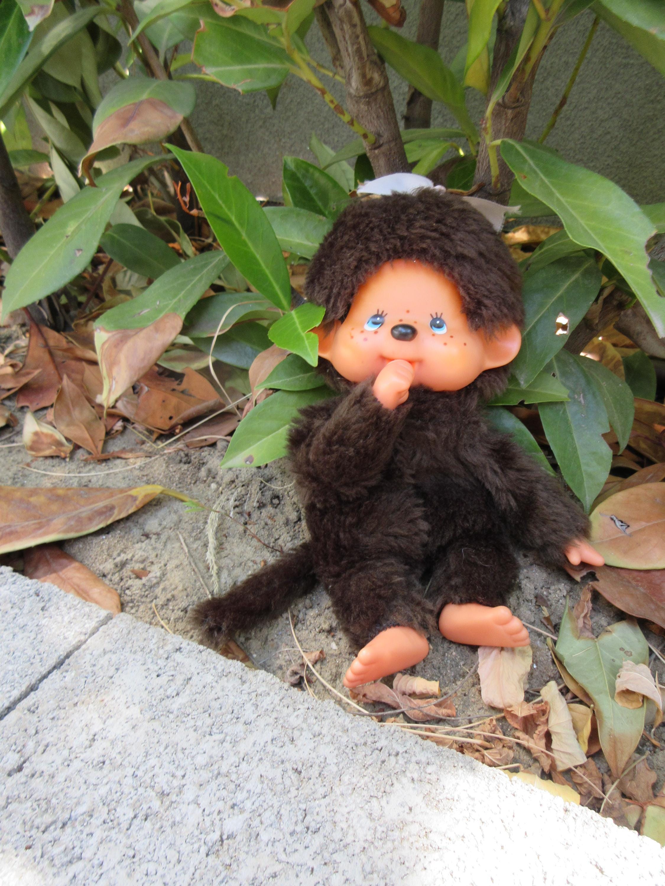 Poupée Vintage Futagonomonchhichi – 1974 – Collection