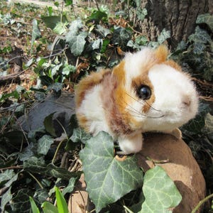 Steiff guinea pig - Etsy 日本