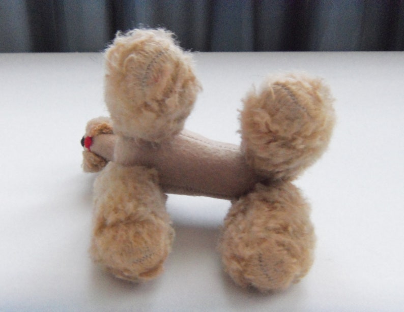 May include: A beige plush toy poodle with a red nose and black eyes. The toy is lying on its back with its legs in the air.