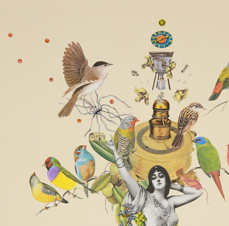 Collage Original Wall Art Print Surreal Birds Botanical Etsy