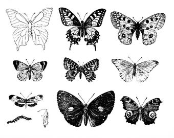 Butterflies vintage ink drawing clip art ready for printing and crafting, perfect for girls rooms