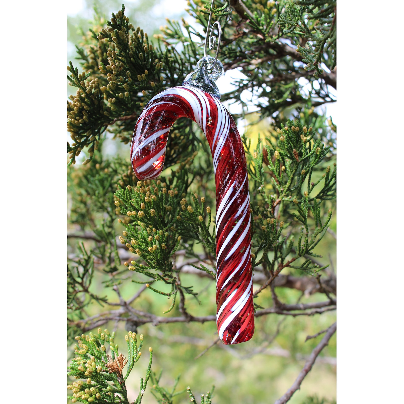 Candy Cane Ornament Handblown Glass Christmas Ornament Red & Etsy