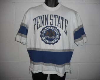 penn state and steelers shirt