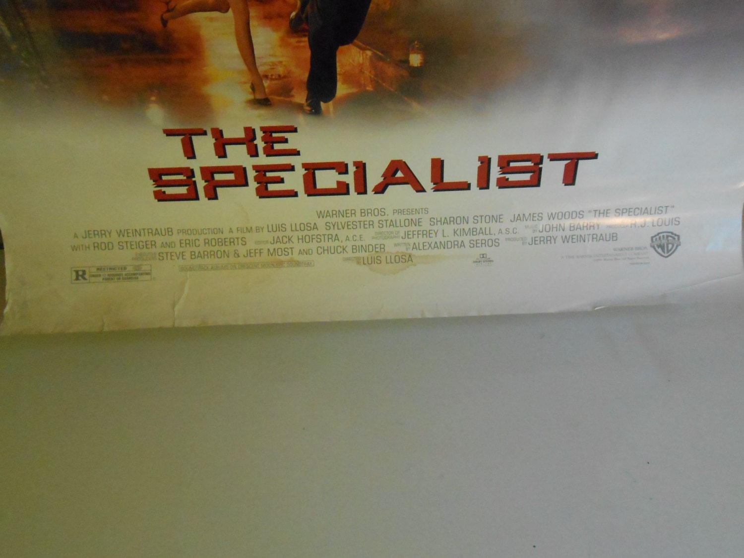 the-specialist-1994