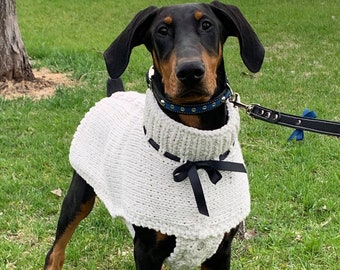 weimaraner sweater