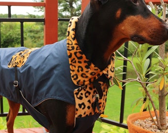 Dog Rain coat DURANGO NAVY/Leopard