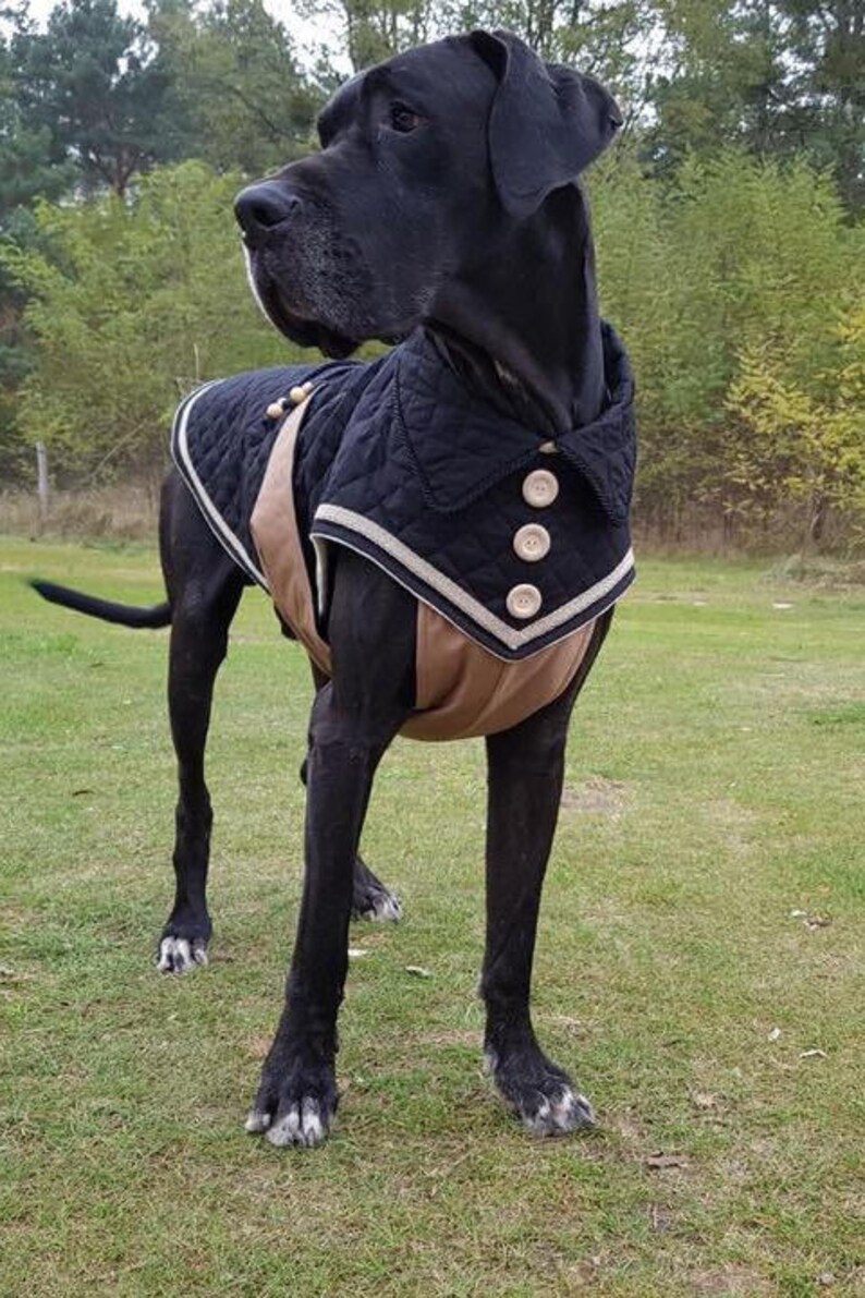 Dog coat MASSAI for Great Danes custom made Etsy