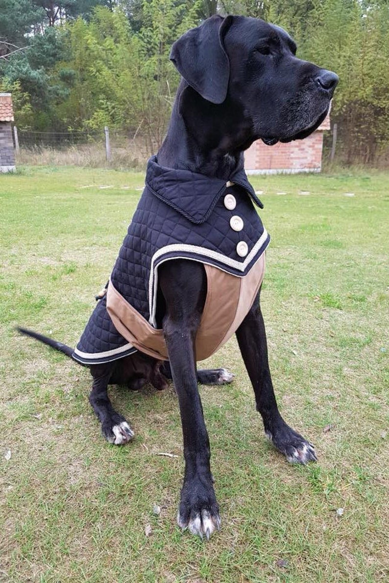 Dog coat MASSAI for Great Danes custom made Etsy