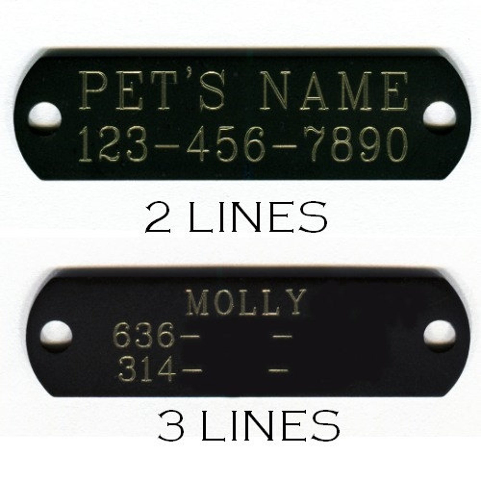 2 Wide Leather Dog Collars With Nameplate and Studs Etsy