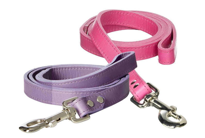 Leather Dog Leashes 4 Ft. Long. Etsy