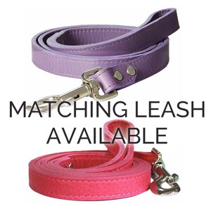 Ausuky Hundehalsband Aus Edelstahl 316L – Kubanische Kette, Für Mittelgroße Hunde, 66 Cm