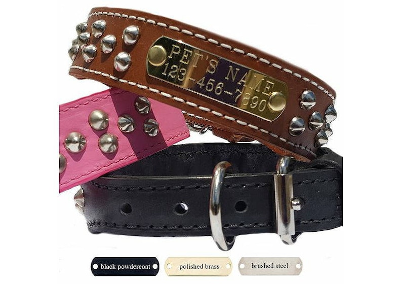 Leather Dog Collars With Nameplate and Studs Wide Dog Etsy