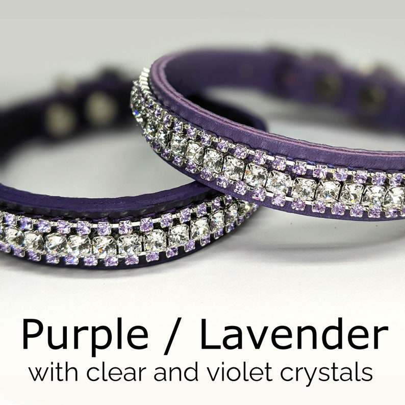 Newtensina Hundehalsband Mit Bling – Leder & Nylon Gewebt, Verstellbar, Mit Diamantsteinchen, Verschiedene Größen