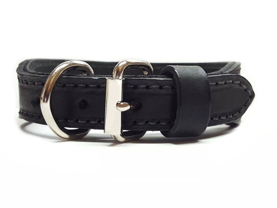 2 Wide Leather Dog Collars With Nameplate and Studs Etsy