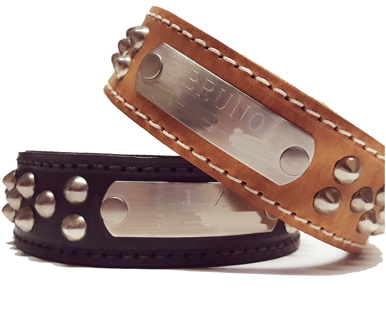 Leather Dog Collars With Nameplate and Studs Wide Dog Etsy