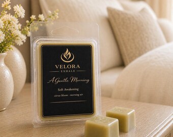 Pastillas de cera de coco vertidas a mano / Un suave aroma matutino en envase tipo concha