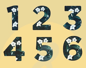 Floral Number Clipart: Flower Monogram Graphics (PNG Digital Download)