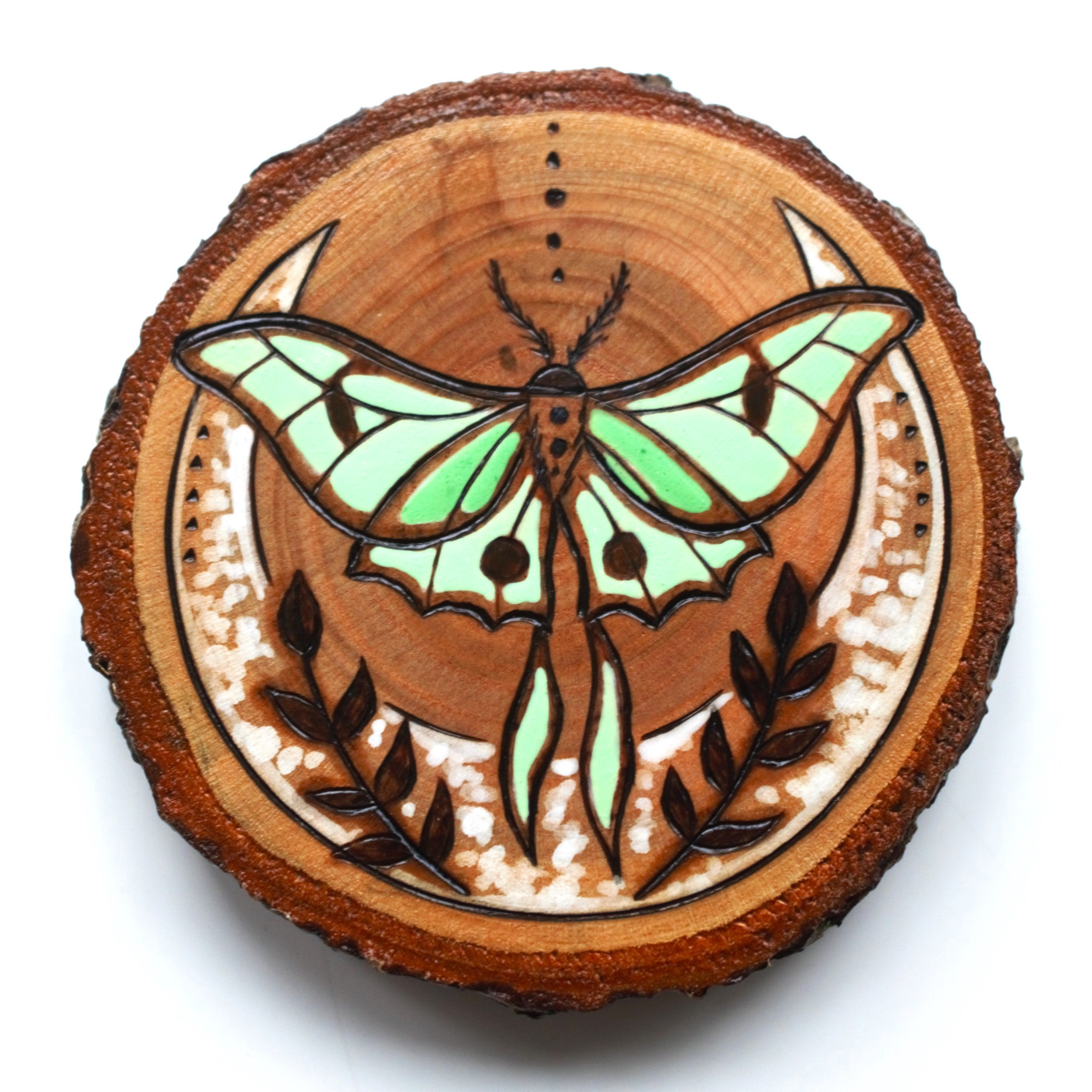 Luna Moth Wood Slice Original Art Pyrography Painting, Wooden Cottage ...