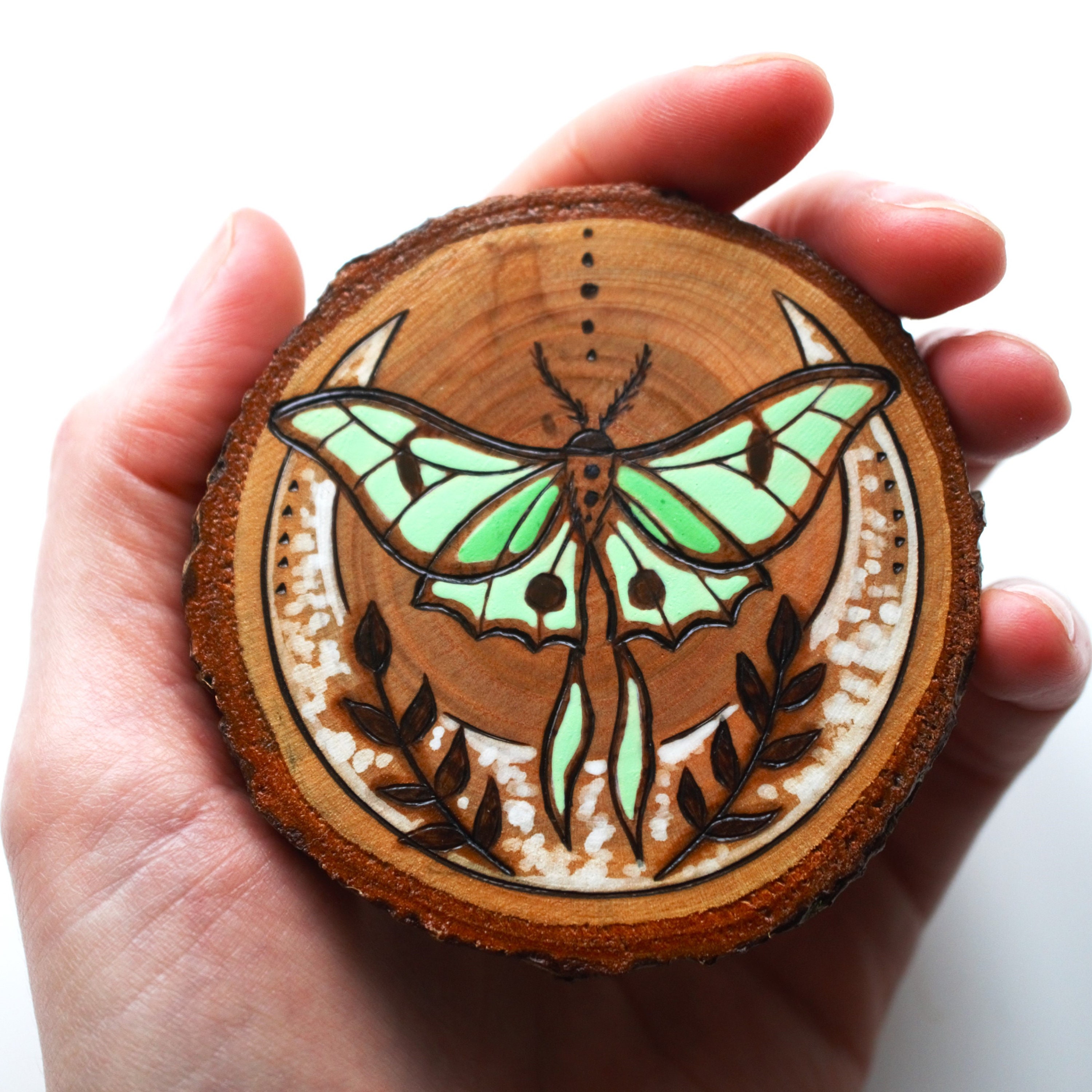Luna Moth Wood Slice Original Art Pyrography Painting, Wooden Cottage ...