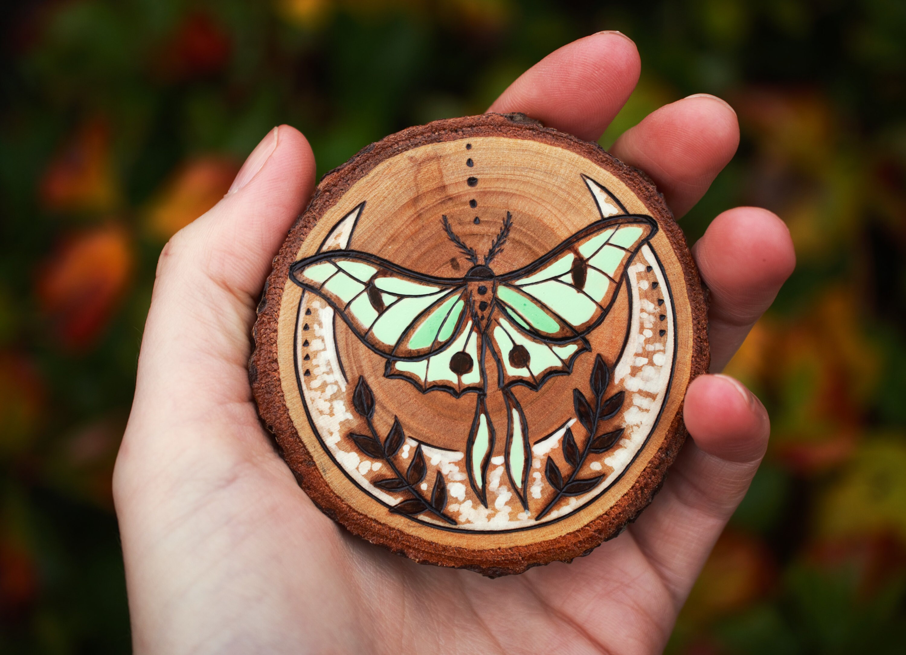 Luna Moth Wood Slice Original Art Pyrography Painting, Wooden Cottage ...