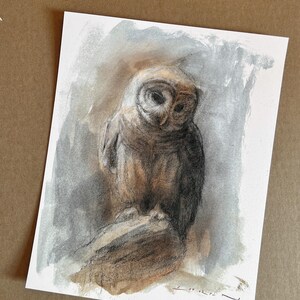 May include: A watercolor and charcoal drawing of an owl perched on a branch. The owl is depicted in shades of brown, gray, and white, with detailed feather textures. The background features soft gray and brown washes, creating a naturalistic scene.