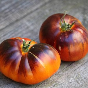 Lucid Gem Tomato Seeds