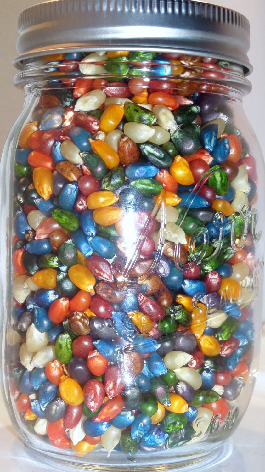 Rainbow Popcorn Kernels Ubicaciondepersonas cdmx gob mx