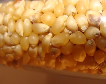 Gourmet Kernels/ Mix of premium white, japanese, baby rice