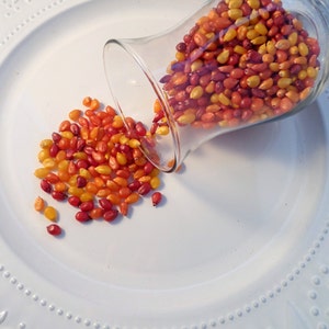 May include: A white plate with a glass vase filled with red and yellow corn kernels. The vase is tipped over and the kernels are spilling out onto the plate.