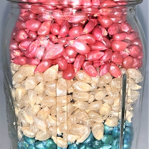 May include: A glass jar filled with three layers of colorful corn seeds. The bottom layer is blue, the middle layer is beige, and the top layer is pink.