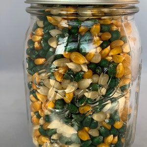Colored Popcorn Seeds/ Go Pack