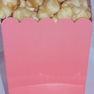 Coral Mini Popcorn Boxes (Qty 12 Pick your color)
