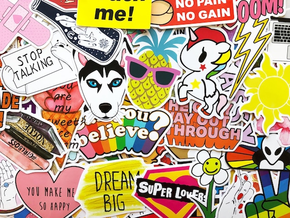 100 Sticker Pack Cool Animals Art Design Decals for Laptop Skateboard Car  Bumper CA -  Ireland