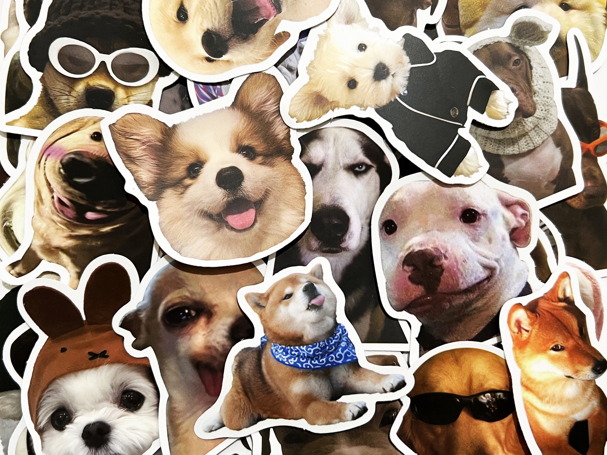 50 Dog Memes Stickers Doggo Faces Funny Dogs Pack