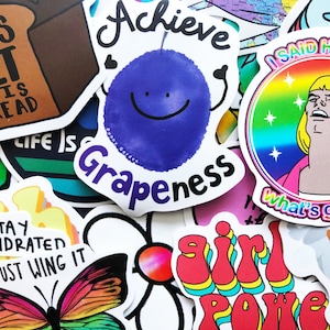50 Fun Colorful Assorted Meme Stickers Set DIY Set Decals