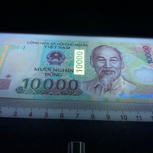 100 dong vietnam - Etsy 日本