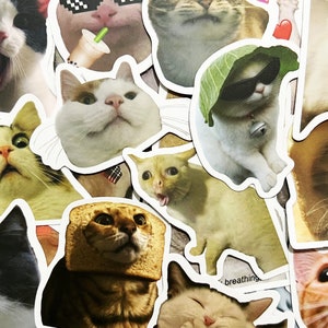 Pode incluir: Uma cole&ccedil;&atilde;o de adesivos de gatos com diferentes ra&ccedil;as de gatos e express&otilde;es. Os adesivos s&atilde;o impressos em papel branco e t&ecirc;m um acabamento brilhante. Alguns dos gatos usam &oacute;culos de sol, chap&eacute;us e outros acess&oacute;rios.
