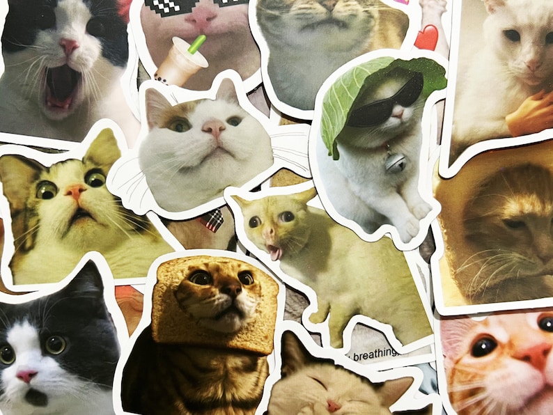 Pode incluir: Uma cole&ccedil;&atilde;o de adesivos de gatos com diferentes ra&ccedil;as de gatos e express&otilde;es. Os adesivos s&atilde;o impressos em papel branco e t&ecirc;m um acabamento brilhante. Alguns dos gatos usam &oacute;culos de sol, chap&eacute;us e outros acess&oacute;rios.