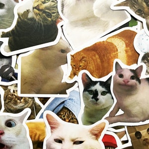 Pode incluir: Uma cole&ccedil;&atilde;o de adesivos de gato com diferentes ra&ccedil;as e poses, incluindo um gato usando um chap&eacute;u de cozinheiro, um gato com uma express&atilde;o surpresa e um gato com uma express&atilde;o rabugenta.