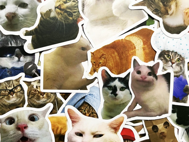 Pode incluir: Uma cole&ccedil;&atilde;o de adesivos de gato com diferentes ra&ccedil;as e poses, incluindo um gato usando um chap&eacute;u de cozinheiro, um gato com uma express&atilde;o surpresa e um gato com uma express&atilde;o rabugenta.