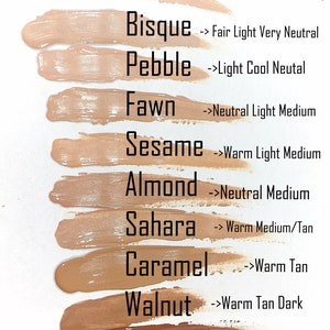 BISQUE Liquid Foundation Natural Organic Makeup Vegan Gluten Free image 5