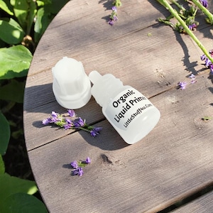 SAMPLE 3ml Natural Makeup Primer | Botanical Face Primer Cream