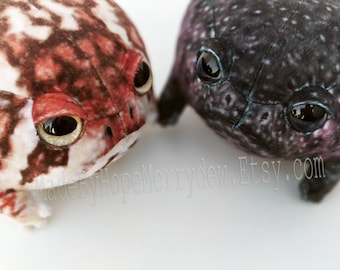 NEW Rain Frogs! Grumpy Frog Mini Plushie Stuffed Animals