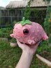 Minis! Strawberry Frog Baby Plushies PREORDER READ DESCRIPTION 
