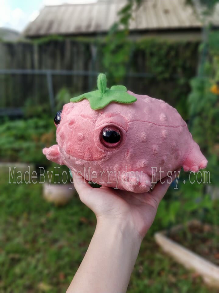 NEW MINIS! Baby Strawberry, Mint, and Teal Frog Plushies PREORDER