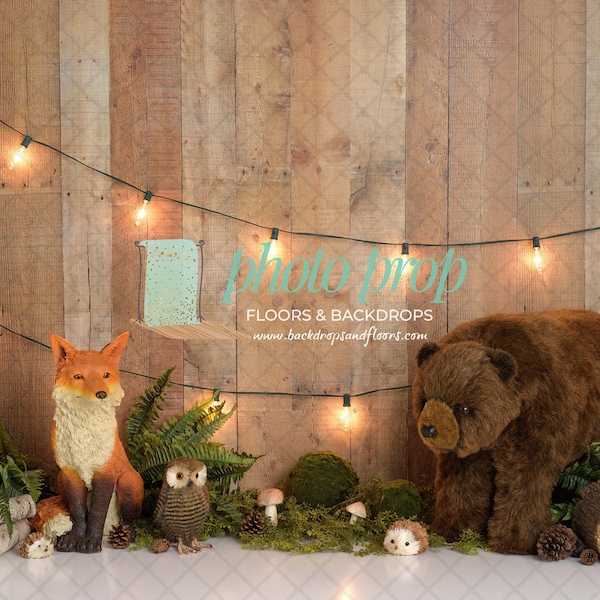 Owl String Lights Etsy