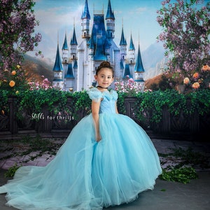 Enchanted Princess Castle Photography Backdrop - Fairy Tale, Glass, Slipper, Fairy Tale, Godmother, cake Smash, Birthday, Magical Cinderella