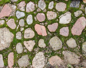 Stone Path Photography Floordrop Backdrop - Vinyl, Floormat, Mossy, Paver, Wall, Bricks, Outdoors, Greenery, Pathway, Rug, Home Decor