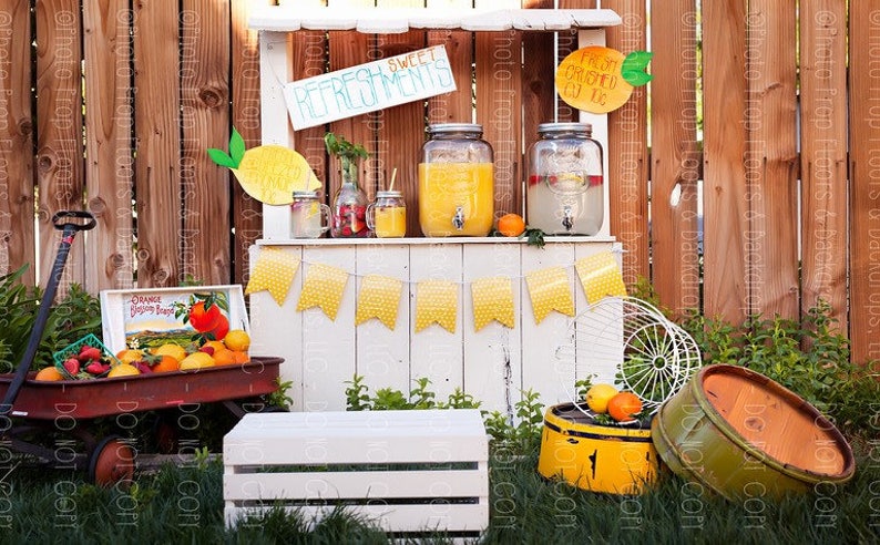 Lemonade Stand Photography Backdrop Summer Time Lemon Etsy
