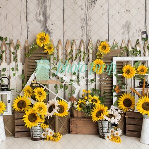 May include: A rustic farmhouse backdrop featuring a white picket fence, wooden shutters, and windows decorated with sunflowers, greenery, and cotton. The backdrop is perfect for photography and includes a variety of textures and colors.